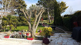 jardin
